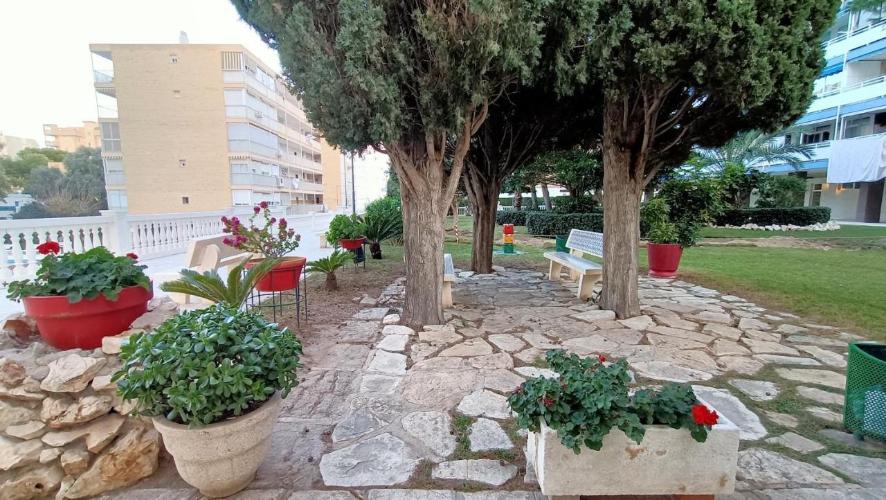 Holidays At My Spanish Grandma Alicante Luaran gambar