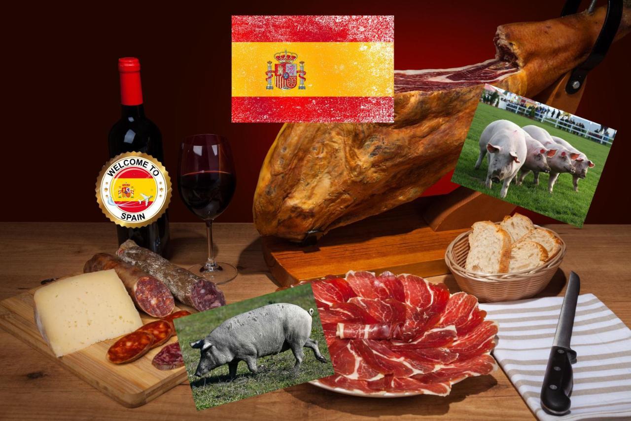 Holidays At My Spanish Grandma Alicante Luaran gambar